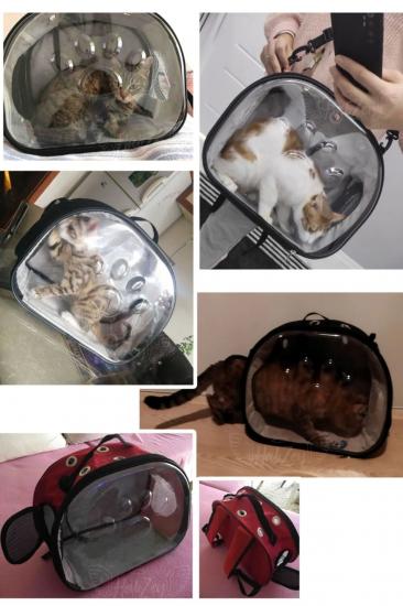 Elips Kedi Taşıma Çantası El Ve Sırt Çantası 6 Hava Kanalı 2 Fileli Cep Kedi Taşıma Çantası Astronot kedi taşıma çantası, Kedi Taşıma,Kedi Çanta